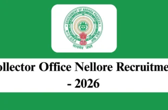 Collector Office Nellore Recruitment 2026