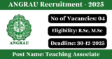ANGRAU Recruitment 2025 – Walk-in Interview for 4 Teaching Associate Posts