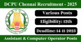 DCPU Chennai Recruitment 2025 – Apply Offline for Various Assistant/ Computer Operator Posts