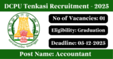 DCPU Tenkasi Recruitment 2025 – Apply Offline for 1 Accountant Post