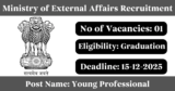 Ministry of External Affairs Recruitment 2025