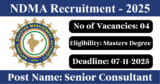 NDMA Recruitment 2025 – Apply Online for 4 Senior Consultant Posts