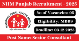 NHM Punjab Recruitment 2025 – Walk-in Interview for 5 Senior Consultant Posts