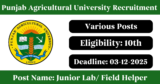 Punjab Agricultural University Recruitment 2025