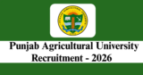 Punjab Agricultural University Recruitment 2026