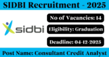 SIDBI Recruitment 2025 – Apply Online for 14 Consultant Credit Analyst Posts