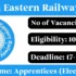 KEA Recruitment 2025 – Apply Online for 224 Assistant Engineer, Junior Engineer Posts